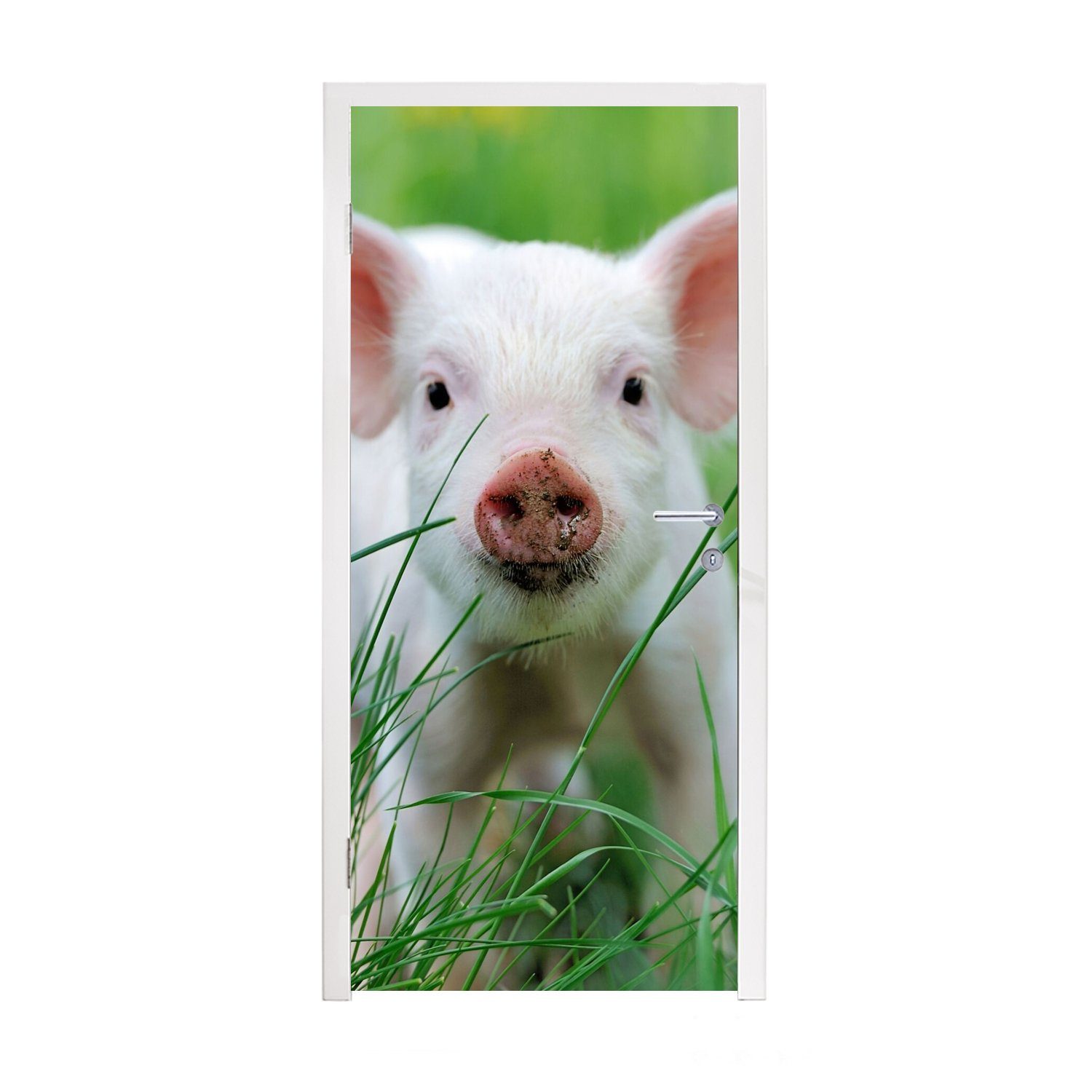 MuchoWow - Tür, Türaufkleber, bedruckt, 75x205 cm Groß, Schwein Türtapete (1 St), Fototapete Tiere für - Matt,