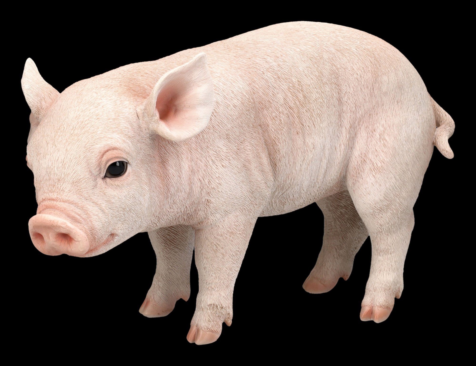 Figuren Shop GmbH Tierfigur Schweine Ferkel Schwein Schweinchen Tierdekofigur Dekoration Figur - 