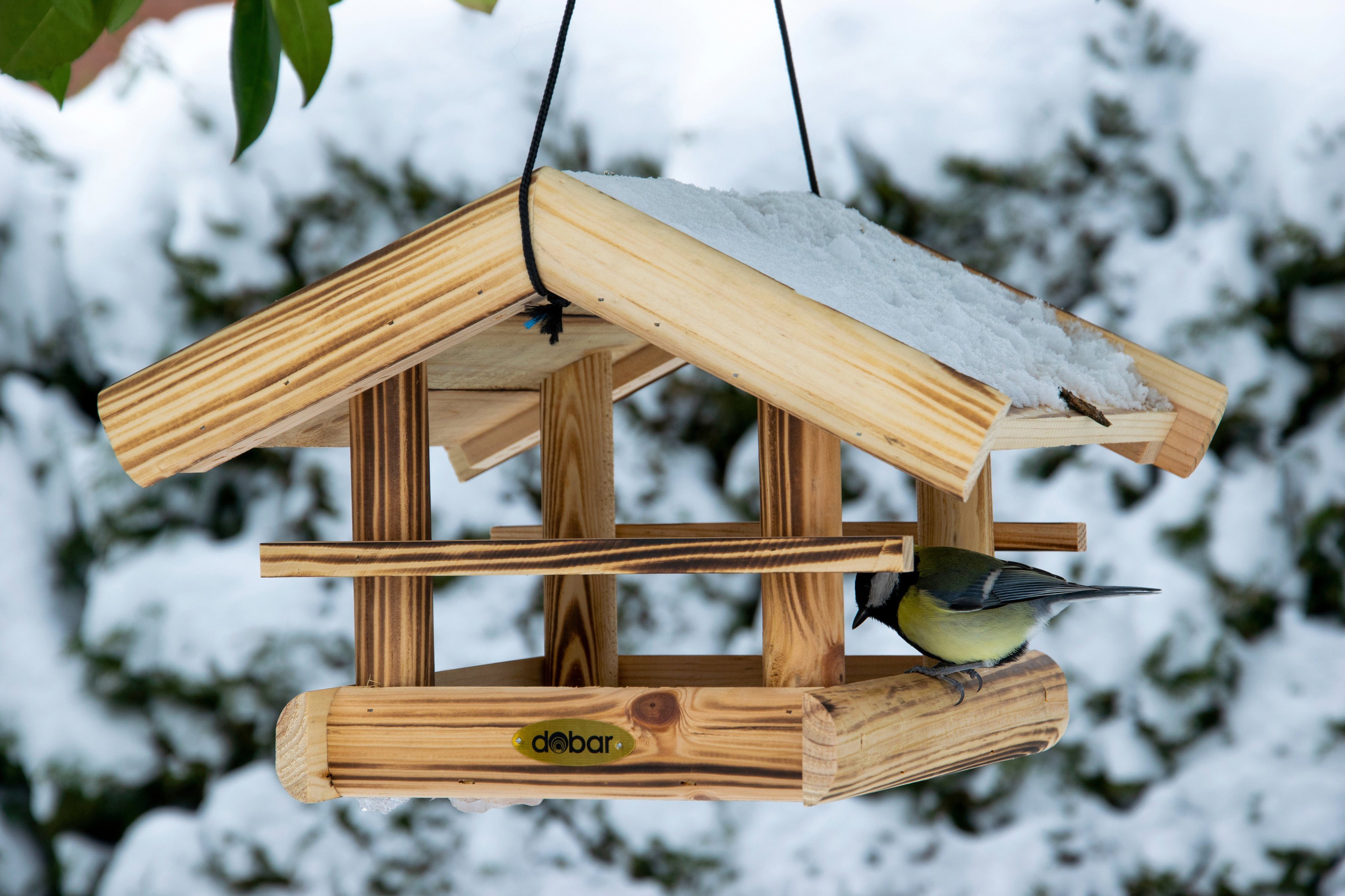 Royal Gardineer Vogelhaus Bausatz: Vogel-Futterhaus-Bausatz, mit