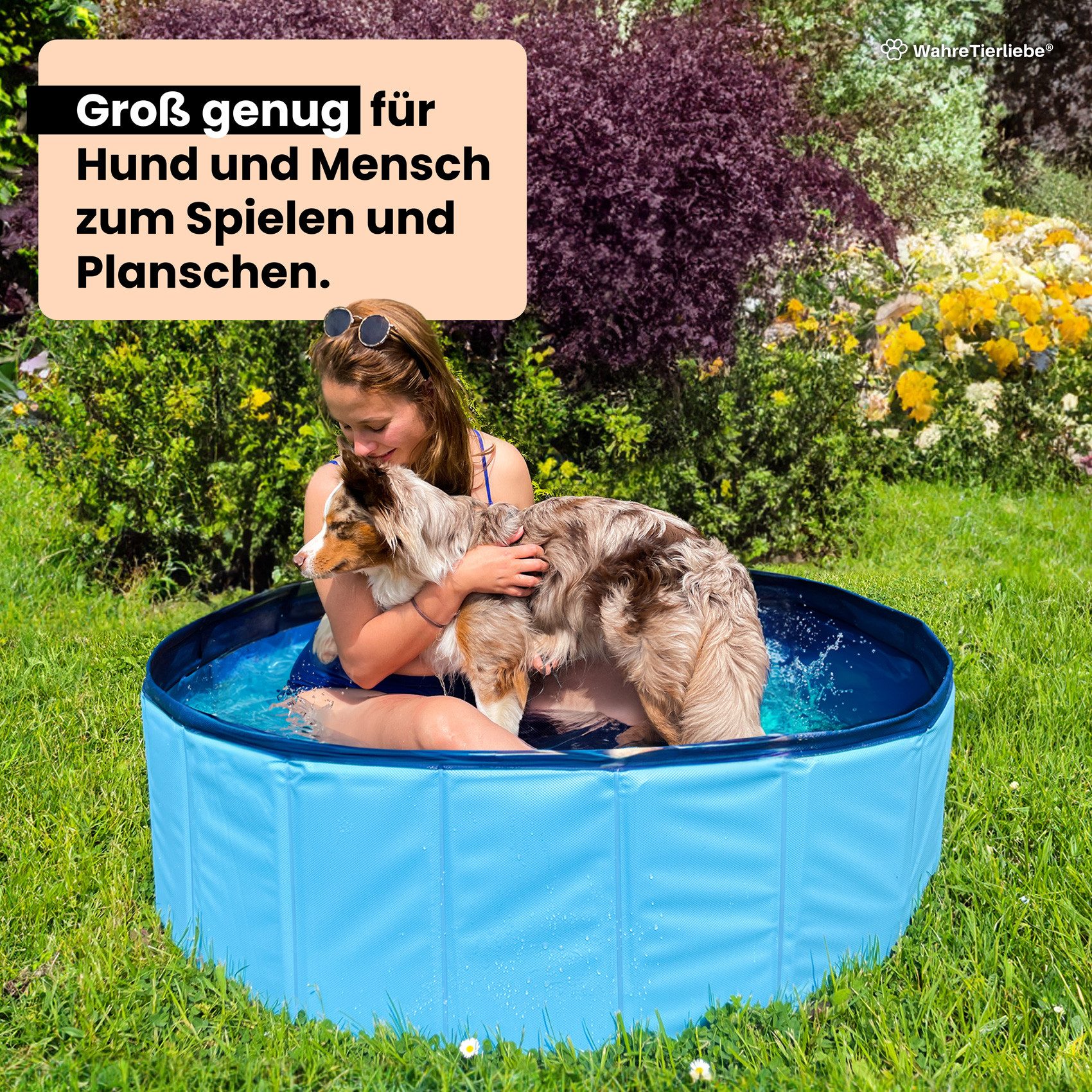 Wahre Tierliebe Hundepool
