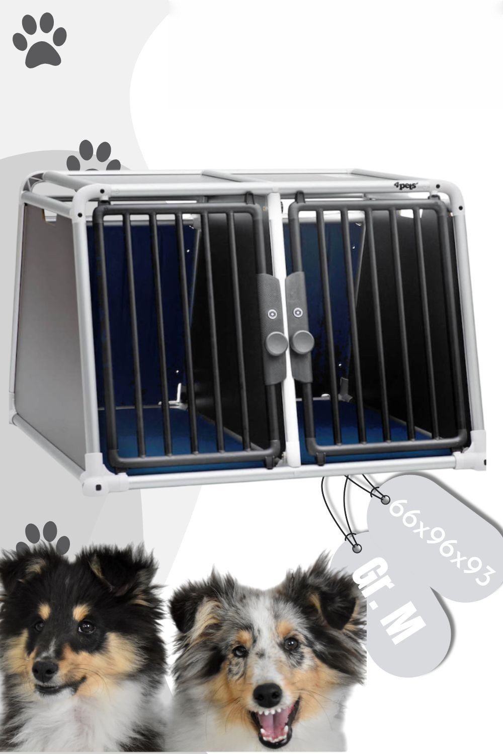 4pets Hunde-Transportbox Hundebox für 2 Hunde