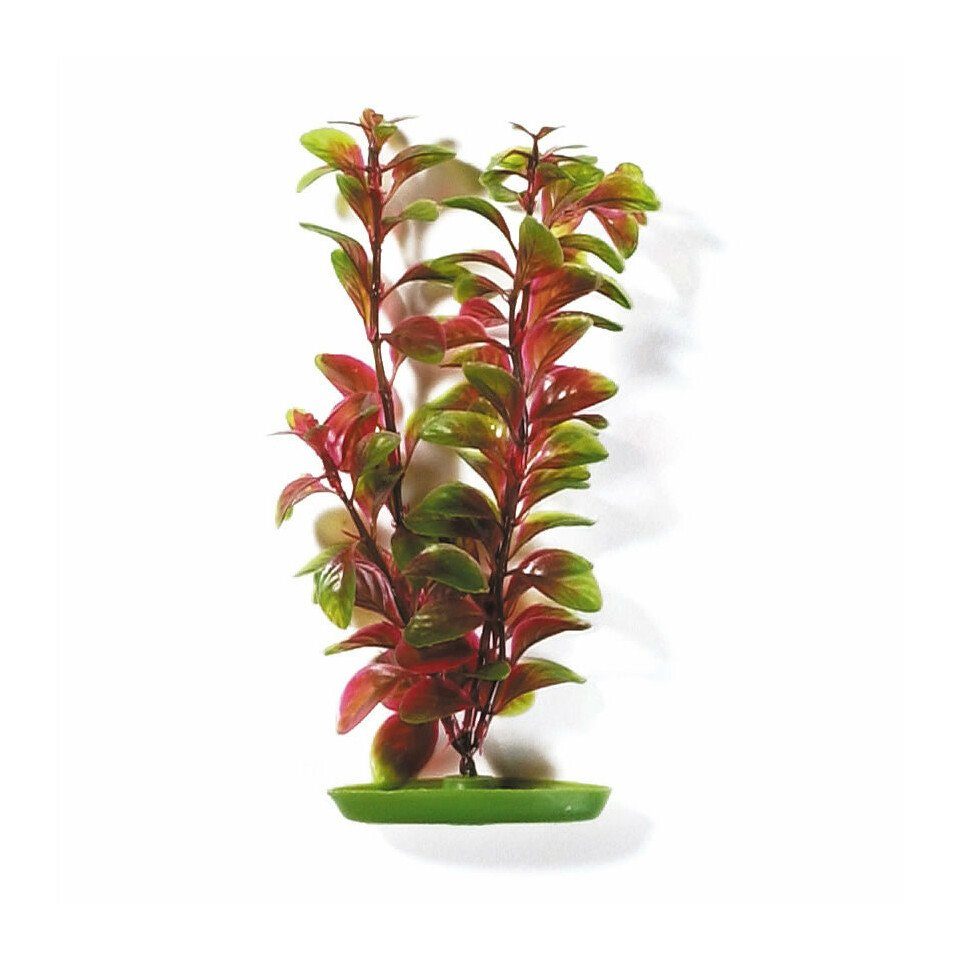 Aquariendeko Aquariumpflanze Aquascaper Red Ludwigia