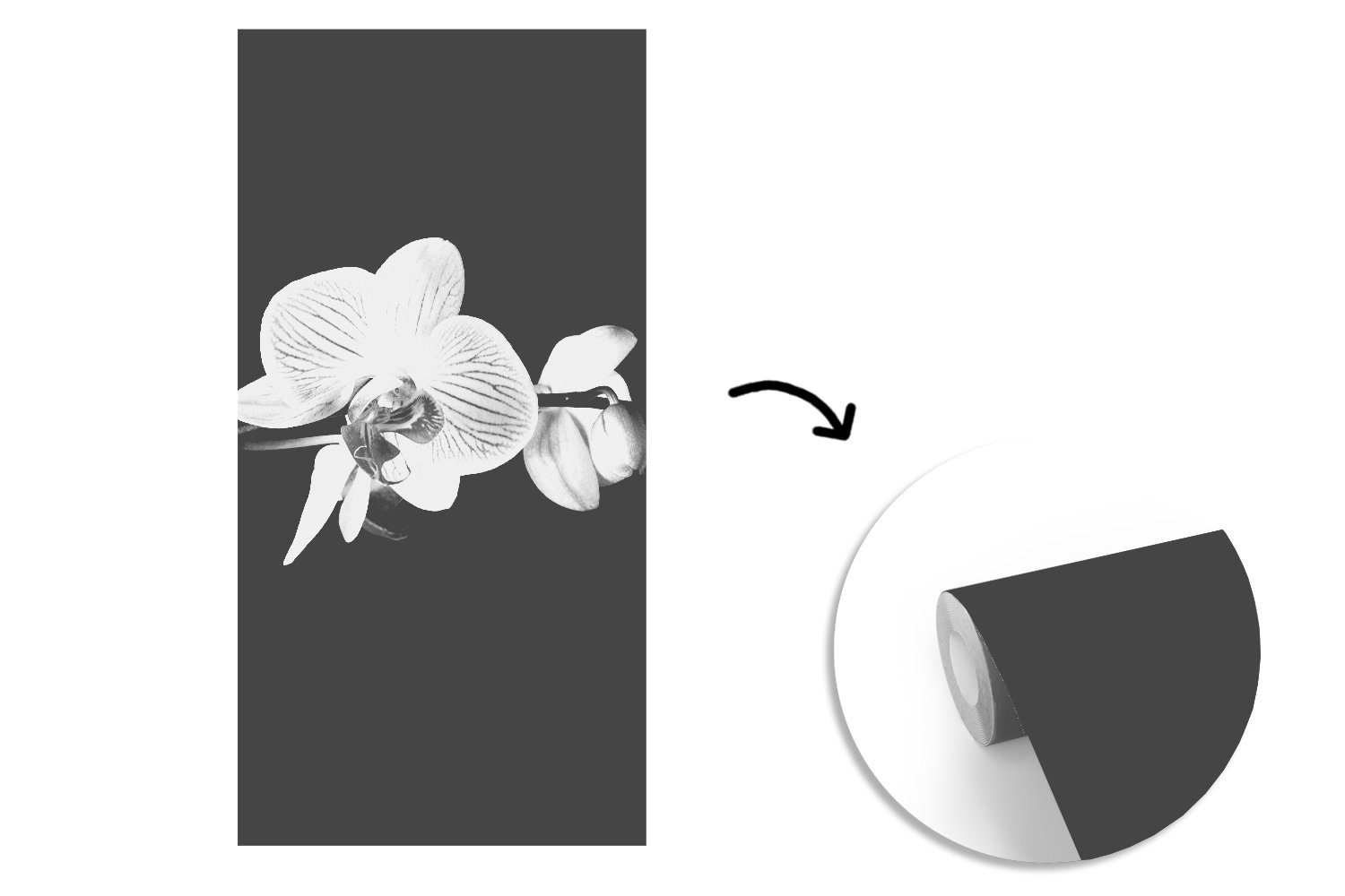 MuchoWow Fototapete Orchidee - Blumen Vliestapete Schlafzimmer Küche, Rosa Fototapete - Matt, für (2 Knöpfe, Schwarz - bedruckt, Wohnzimmer St), 