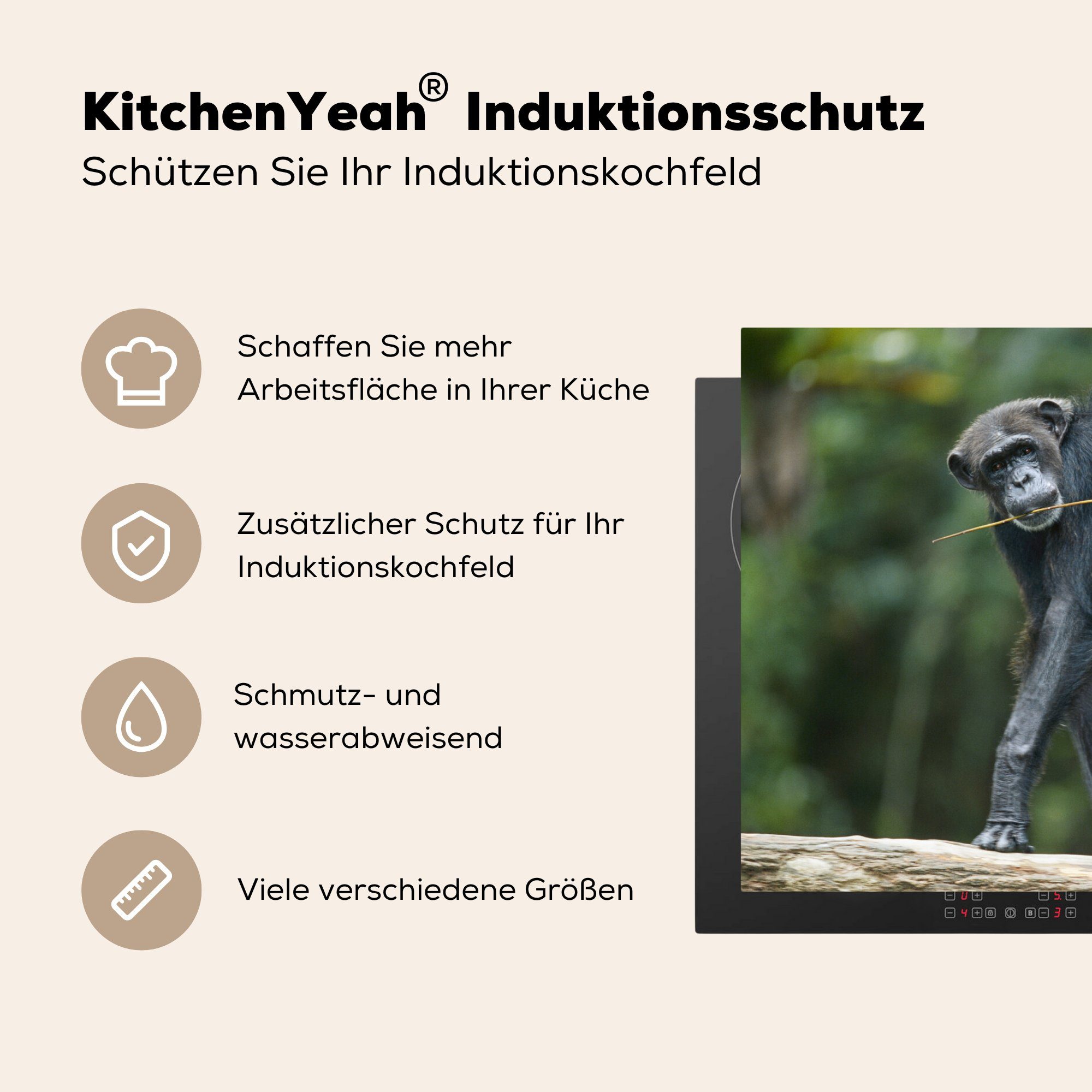 Induktionskochfeld 81x52 tlg), seinem Rücken, MuchoWow Herdblende-/Abdeckplatte die Vinyl, für Jungen Ceranfeldabdeckung (1 cm, küche, Schutz mit Schimpanse auf