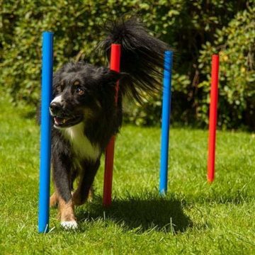 Procyon Agility-Slalom Dog Agility Set K2 PRO