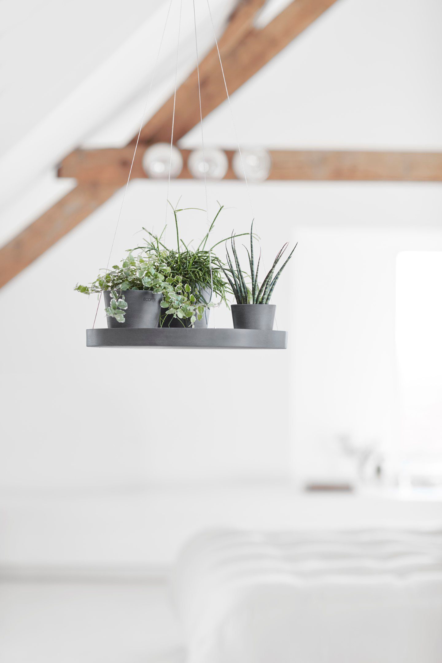 ECOPOTS Blumentopfuntersetzer HANGING SAUCER Grey, BxTxH: 36x36x3 cm günstig online kaufen