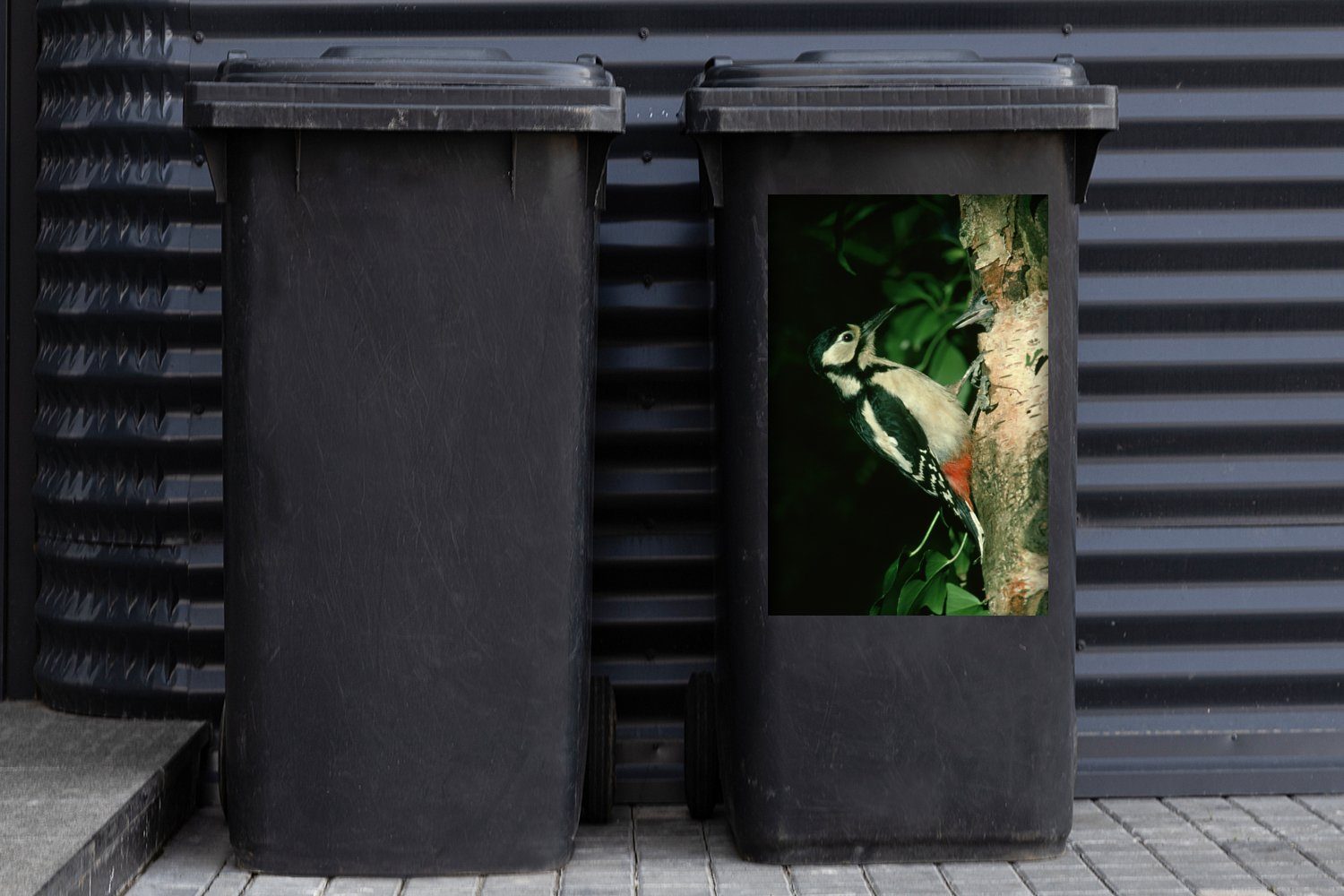 einem Ein St), MuchoWow Mülltonne, Wandsticker Container, an Buntspecht Abfalbehälter Baum Sticker, Mülleimer-aufkleber, (1