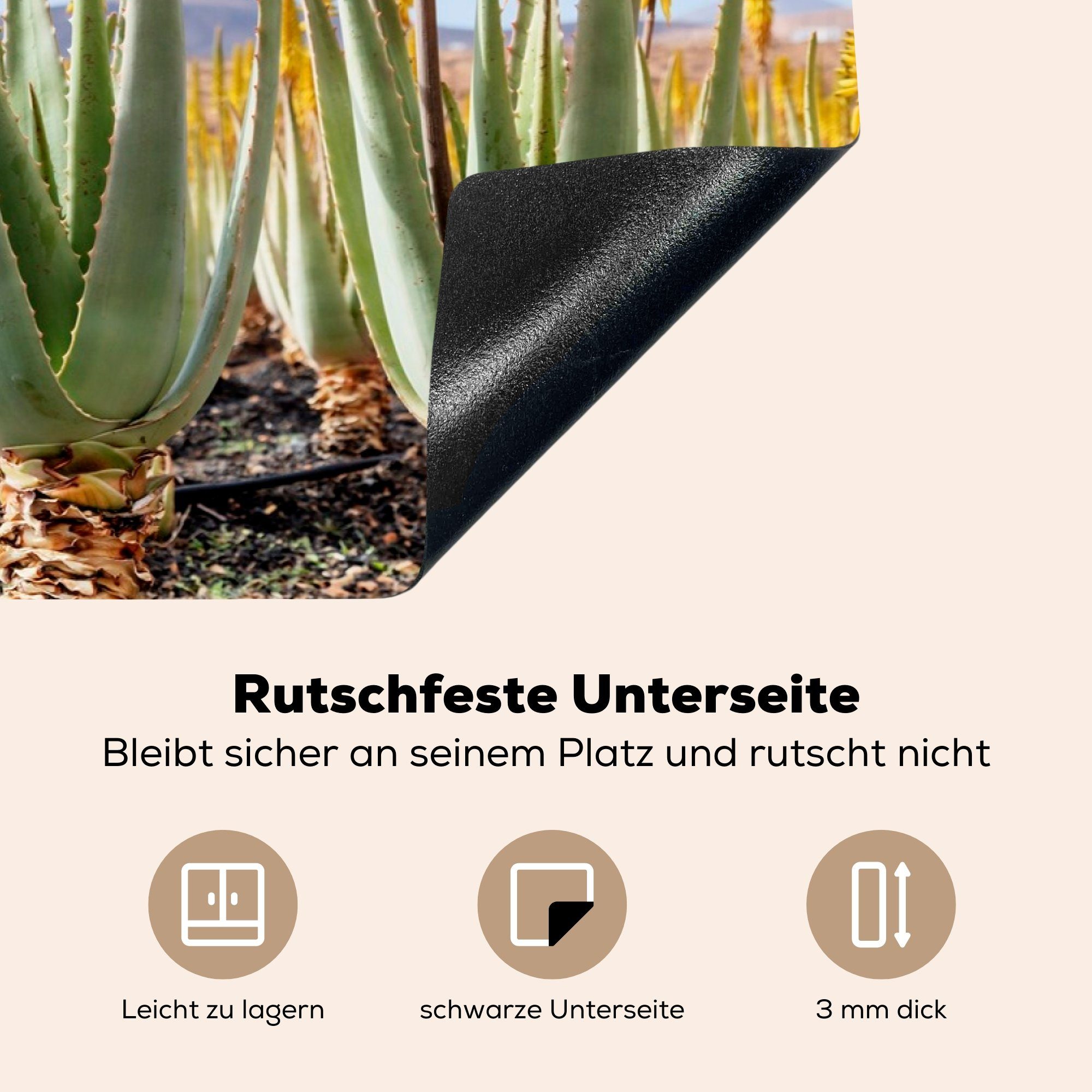 Vinyl, küche, Schutz die cm, für Ceranfeldabdeckung Herdblende-/Abdeckplatte auf 81x52 (1 Fuerteventura, tlg), Induktionskochfeld Aloe-Vera-Heilpflanzen MuchoWow