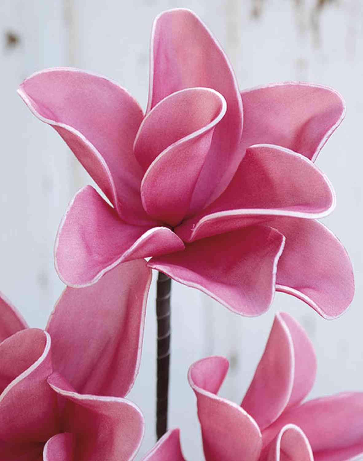 Kunstzweig Kunst Magnolia Verona, pink, 115cm Magnolie, artplants, Höhe 40.0 cm