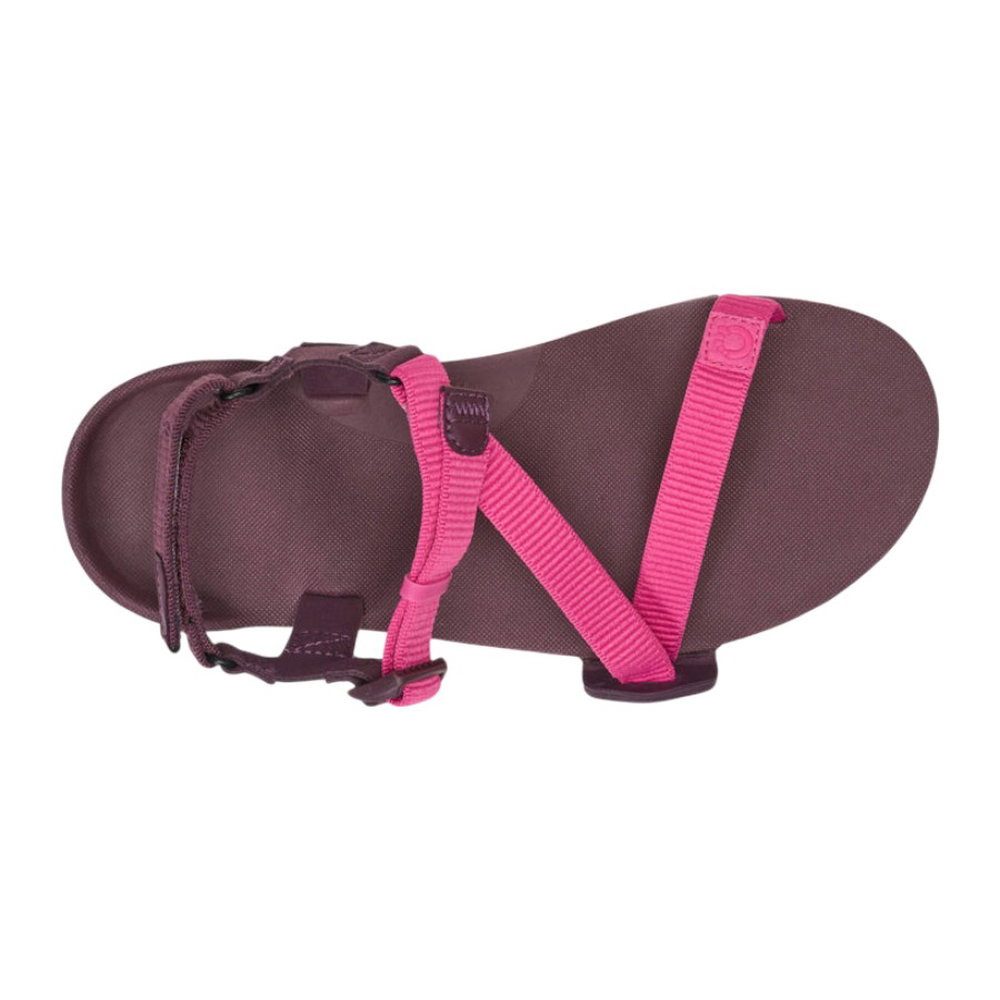 Xero Shoes Z-Trail EV fuchsia/purple Damen Sandale