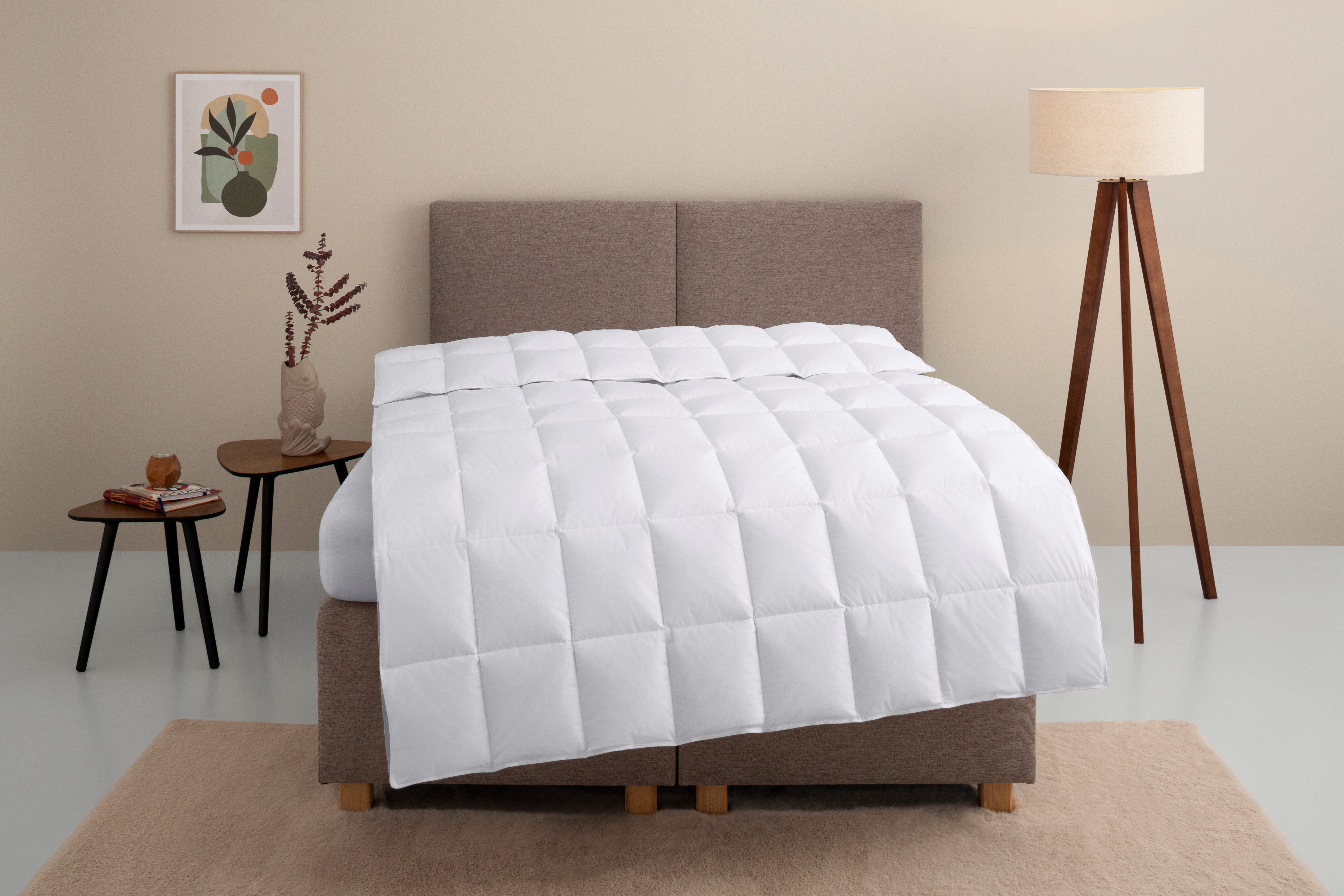 Home affaire Daunenbettdecke Marseilles Bettdecke 135x200 günstig online kaufen