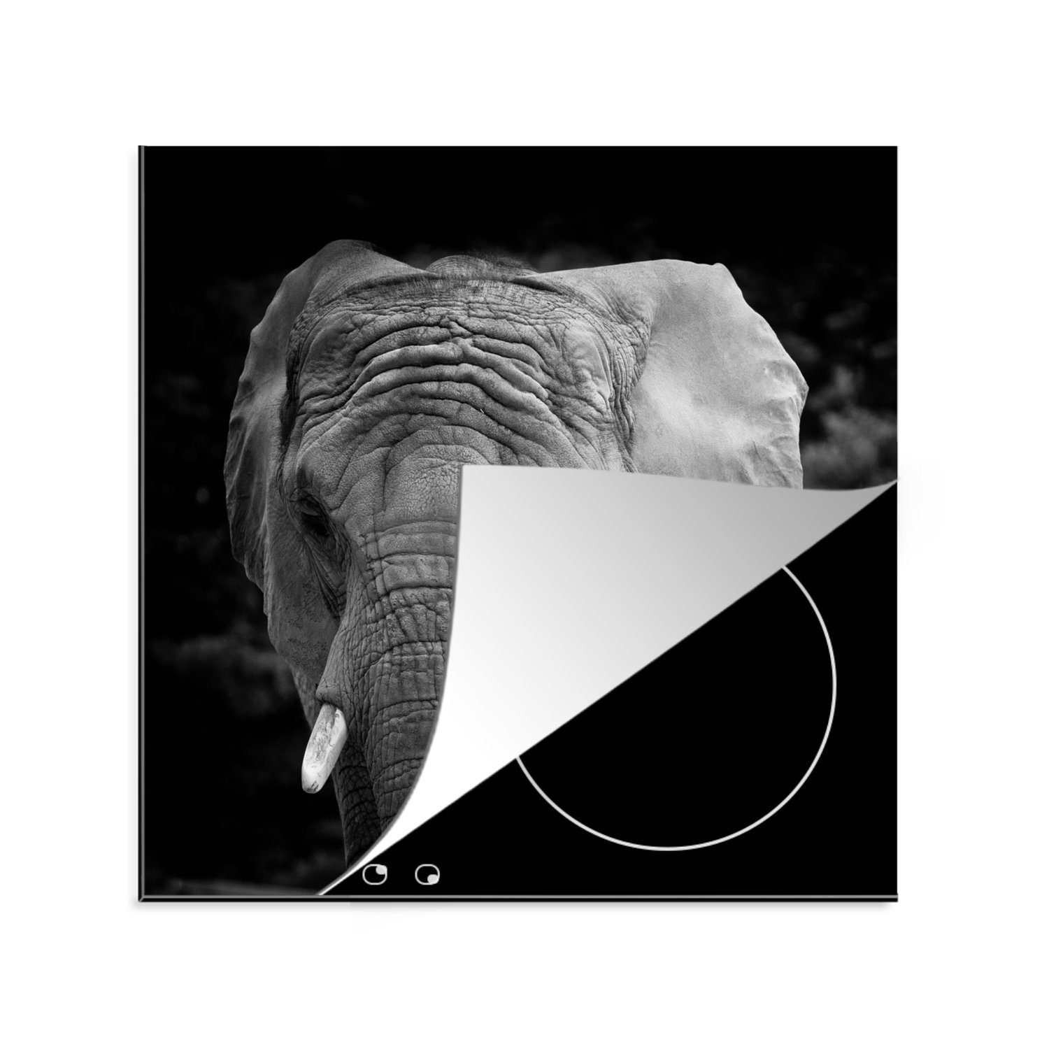 MuchoWow Herdblende-/Abdeckplatte Elefant - Afrika - Schwarz - Weiß, Vinyl, (1 tlg), 78x78 cm, Ceranfeldabdeckung, Arbeitsplatte für küche