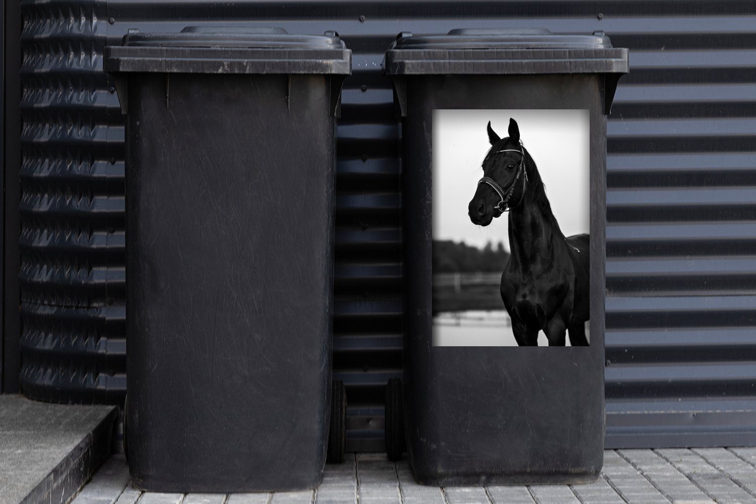 Porträt Mülleimer-aufkleber, Container, schwarz Pferdes Wandsticker eines St), weiß und - Abfalbehälter Mülltonne, MuchoWow (1 Sticker,