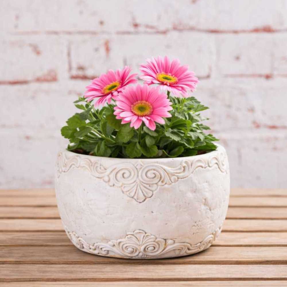 AltoBelli Blumentopf AltoBelli Blumentopf ADELINA Schale Zement Antik Grau Patina 17x8 cm