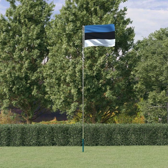 vidaXL Flagge Flagge Estlands mit Mast 5 55 m Aluminium