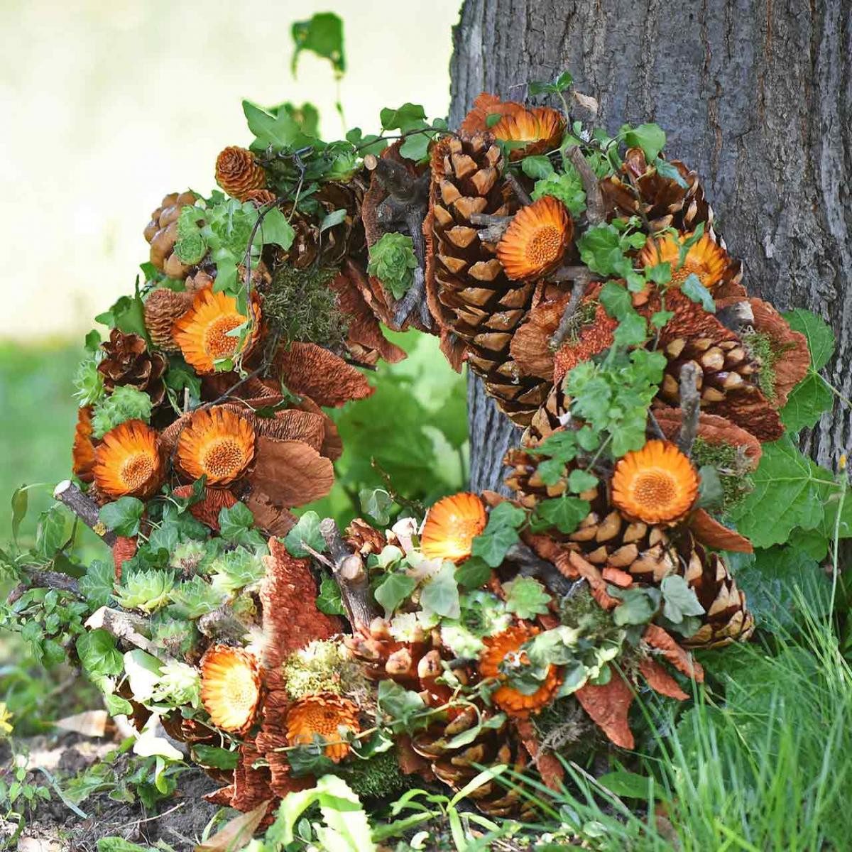 Trockenblume Zapfen Pinus Maritima 10-15cm Natur 3 Stk - Deko Zapfen für, 3 Stück, Kaemingk, Höhe 15 cm