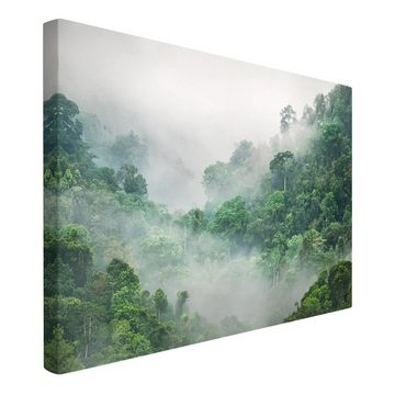 Bilderdepot24 Leinwandbild Wald Natur Modern Dschungel Nebel grün Bild auf Leinwand Groß XXL, Bild auf Leinwand; Leinwanddruck in vielen Größen