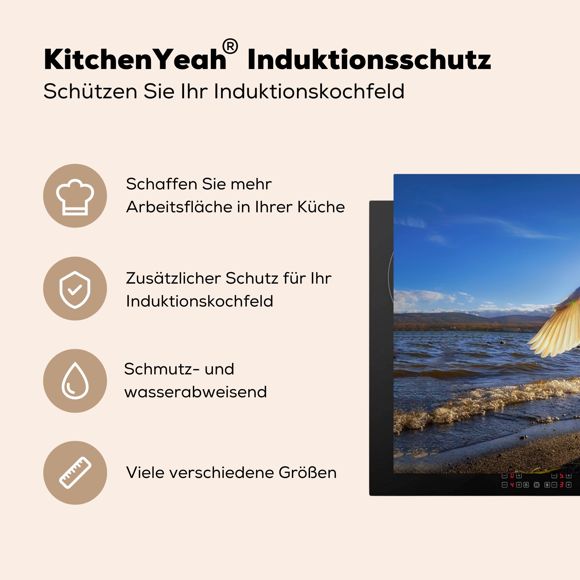 Induktionskochfeld Schwan die - - Ceranfeldabdeckung Vinyl, cm, Sonne, Strand Schutz (1 küche, MuchoWow für 81x52 Herdblende-/Abdeckplatte tlg),