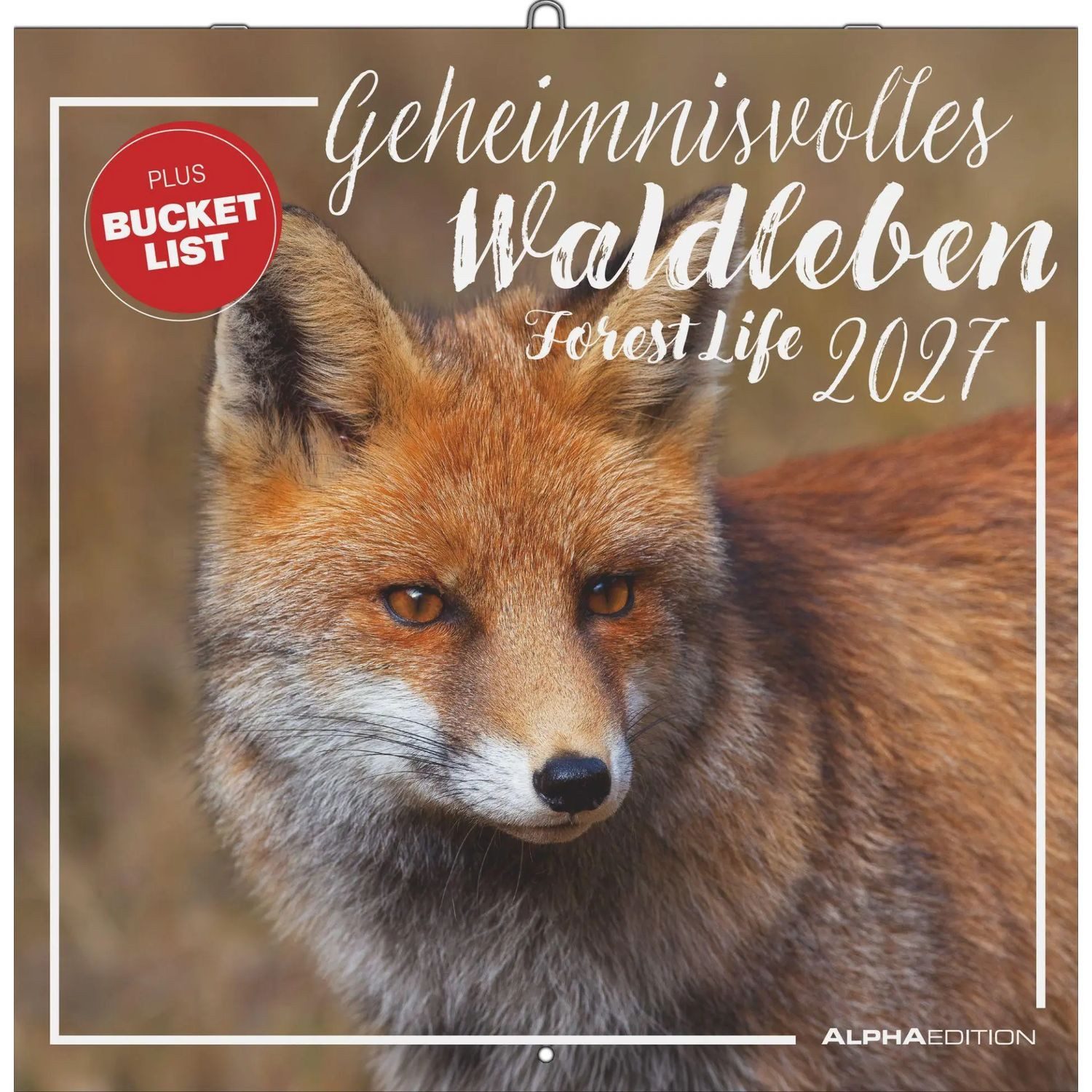 Wandkalender Geheimnisvolles Waldleben 2027