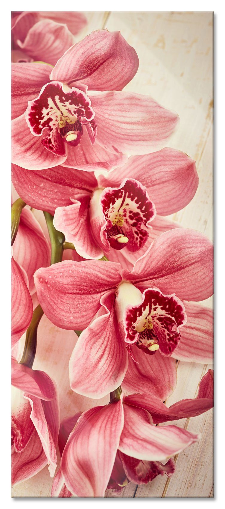 inkl. Rosane aus und Aufhängungen Glasbild Orchideenblüten, Orchideenblüten Rosane St), Echtglas, Pixxprint Abstandshalter Glasbild (1