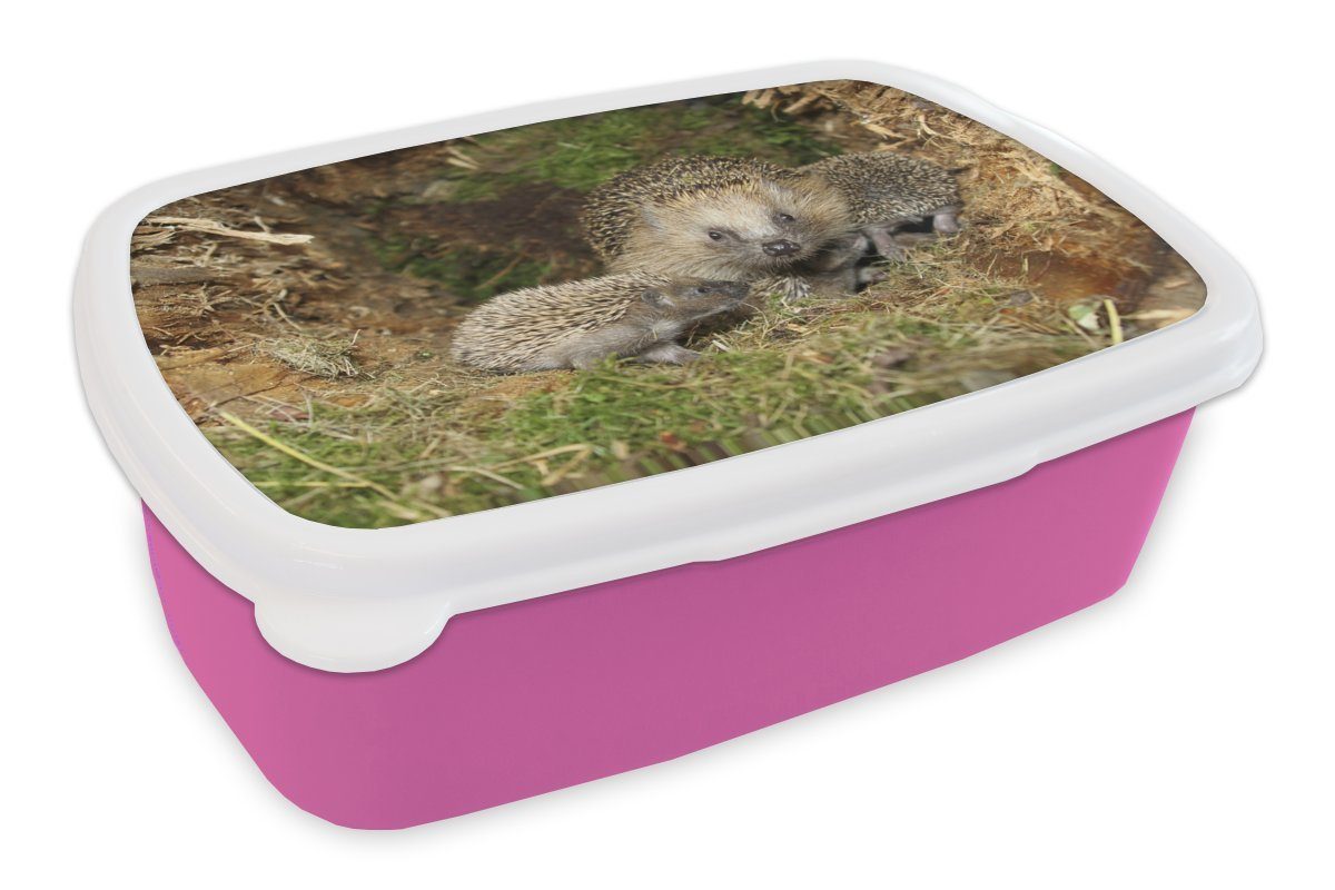 Baby-Igel Brotbox in Snackbox, MuchoWow Natur, Lunchbox rosa Kunststoff, Kunststoff Mädchen, der Brotdose für Erwachsene, (2-tlg), Kinder,