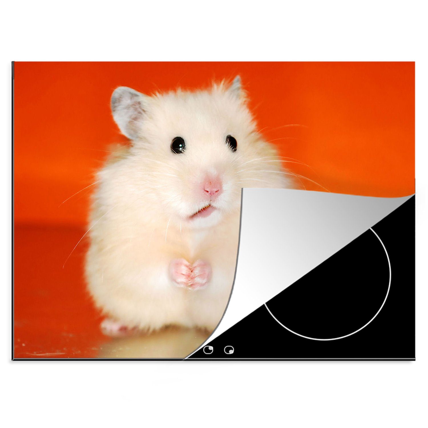 MuchoWow Herdblende-/Abdeckplatte Weißer Hamster auf orangem Hintergrund, Vinyl, (1 tlg), 70x52 cm, Mobile Arbeitsfläche nutzbar, Ceranfeldabdeckung