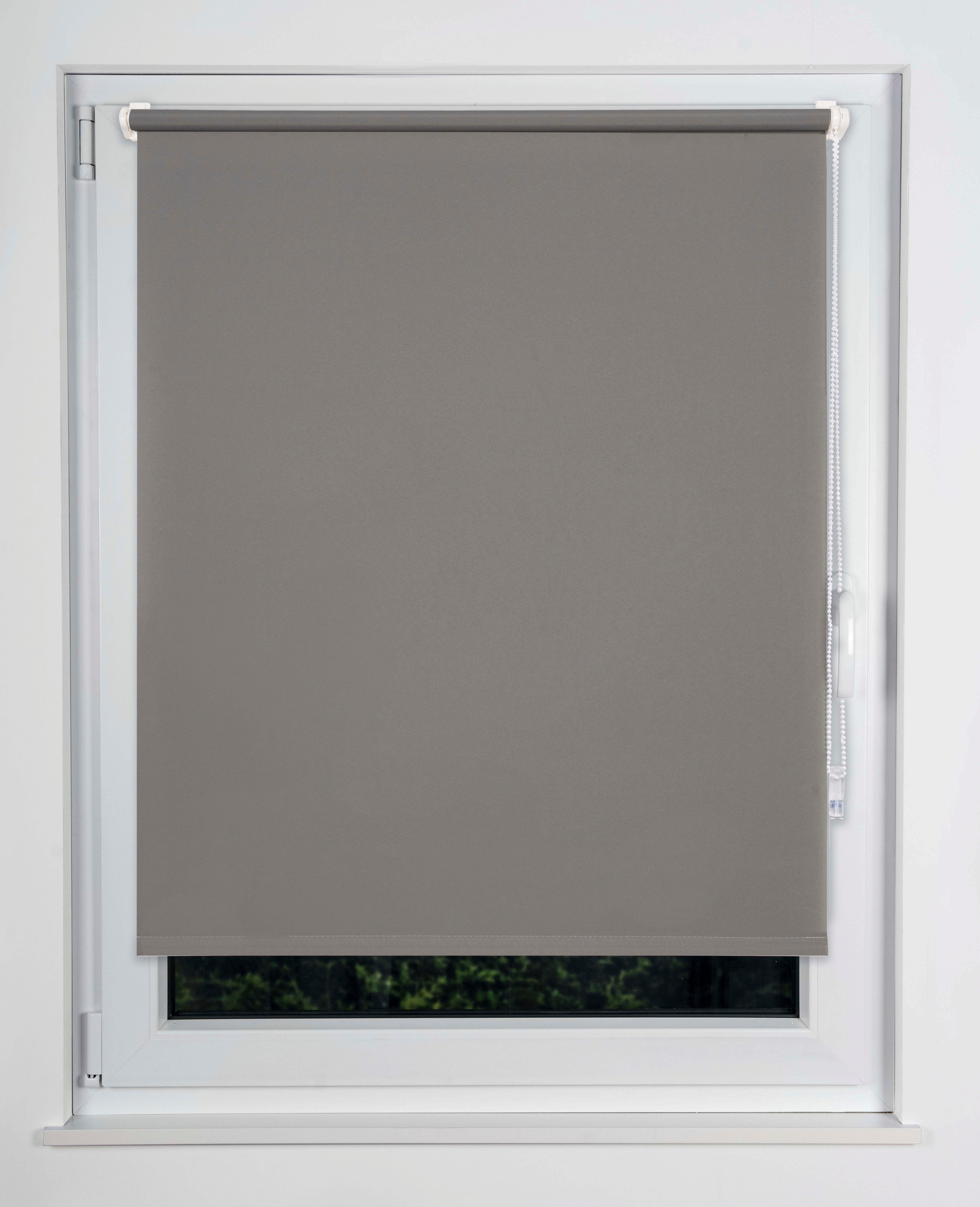Seitenzugrollo Win, mydeco, Lichtschutz, mit Bohren, freihängend, verschrau günstig online kaufen