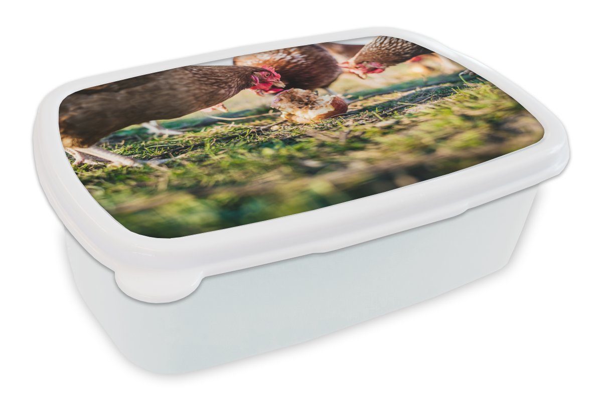 MuchoWow Lunchbox Hühner essen Apfel, Kunststoff, (2-tlg), Brotbox für Kinder und Erwachsene, Brotdose, für Jungs und Mädchen weiß