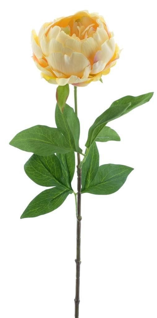 Kunstblume Deko Pfingstrose TALFY, gelb, 65cm Pfingstrose, artplants, Höhe 65.0 cm