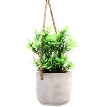 Kunstpflanze Zimmerpflanze, Atmosphera Créateur d'intérieur, Höhe 25 cm