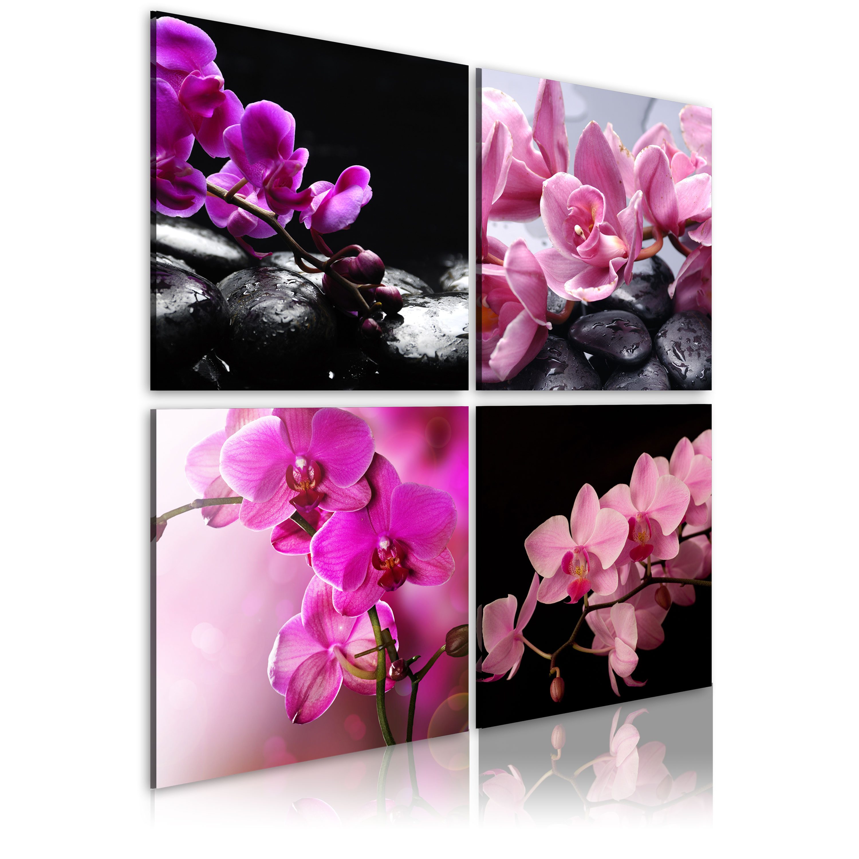 Wandbild Orchideen schöner als je zuvor