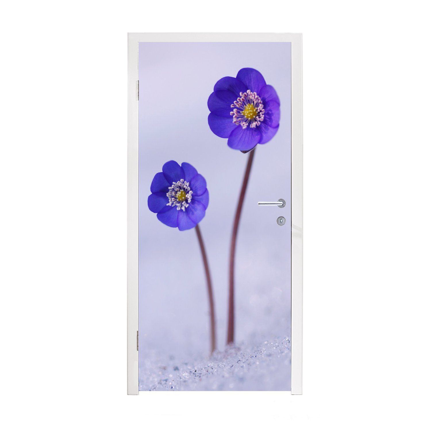 MuchoWow Türtapete Blumen Schnee St), Türaufkleber, Fototapete 75x205 Lila, cm Matt, - für Tür, - (1 bedruckt