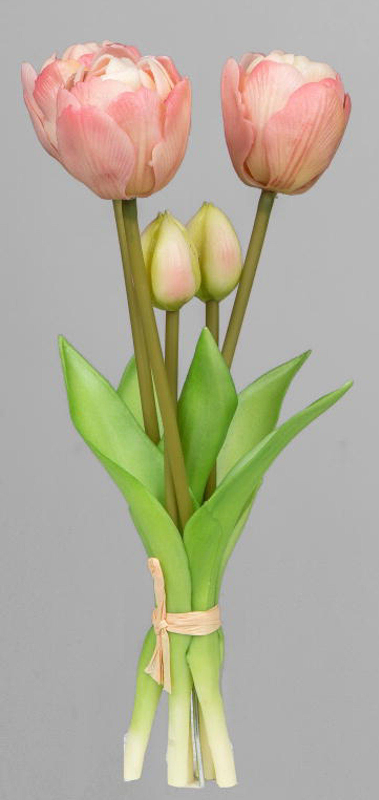 Kunstblume formano Kunstblume Tulpenbündel, creme, 5 Stück, Kunstpflanze, formano, Höhe 60 cm