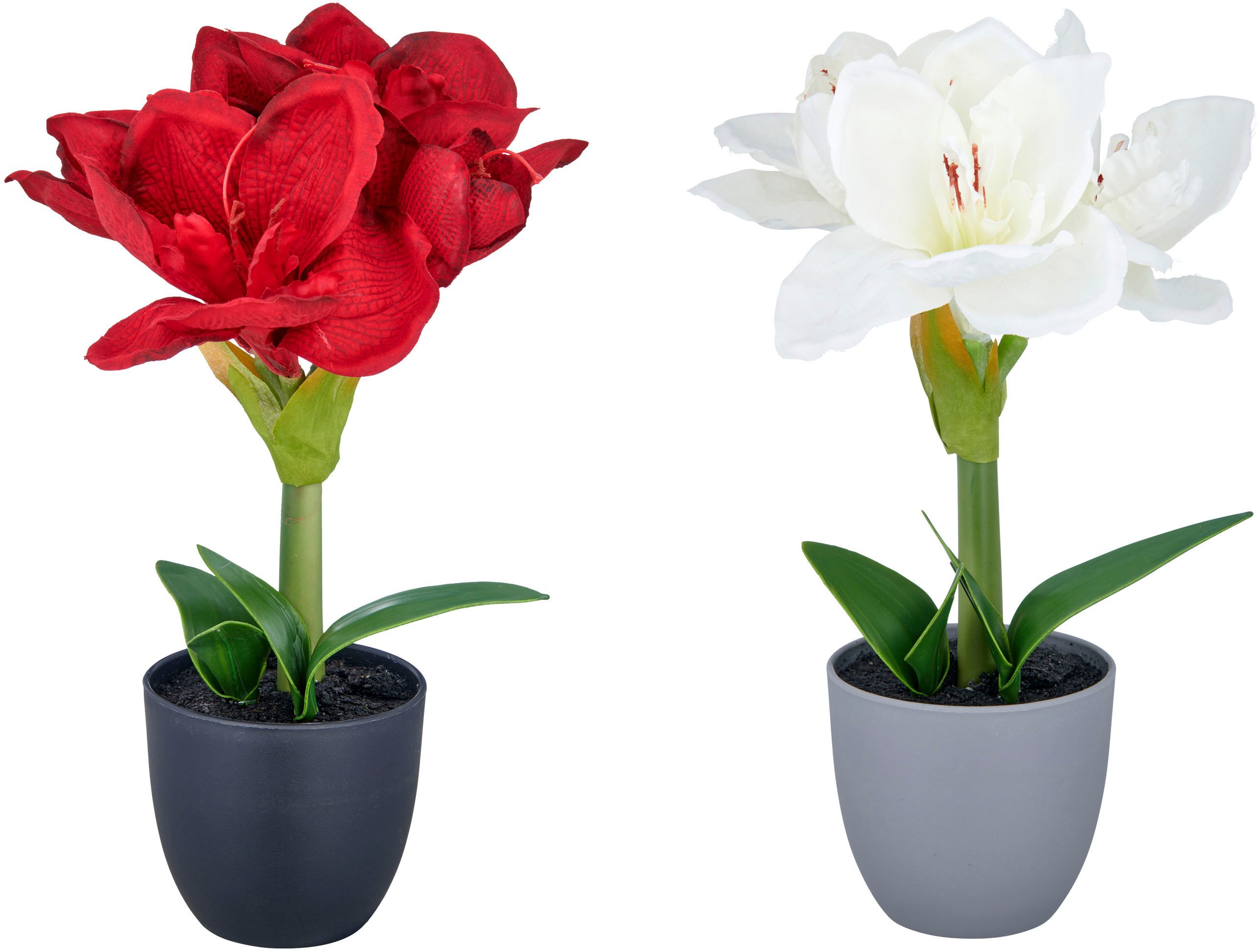 Kunstblume Amaryllis