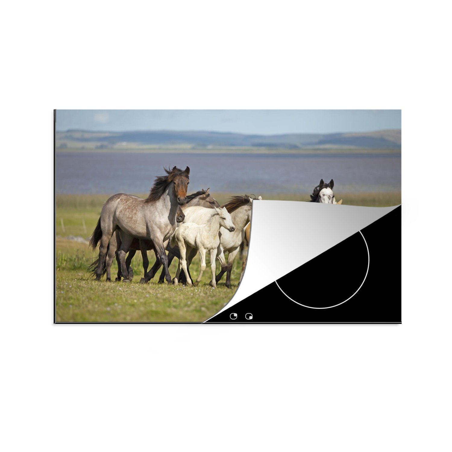 MuchoWow Herdblende-/Abdeckplatte Pferde - Herde - Criollo - Gras, Vinyl, (1 tlg), 81x52 cm, Induktionskochfeld Schutz für die küche, Ceranfeldabdeckung
