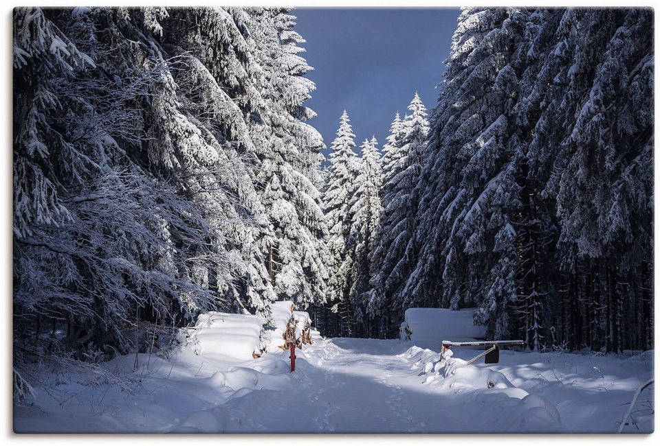 Artland Wandbild Winter im Thüringer Wald in Schmiedefeld, Waldbilder (1 St),  als Alubild, Leinwandbild, Wandaufkleber oder Poster in versch. Größen