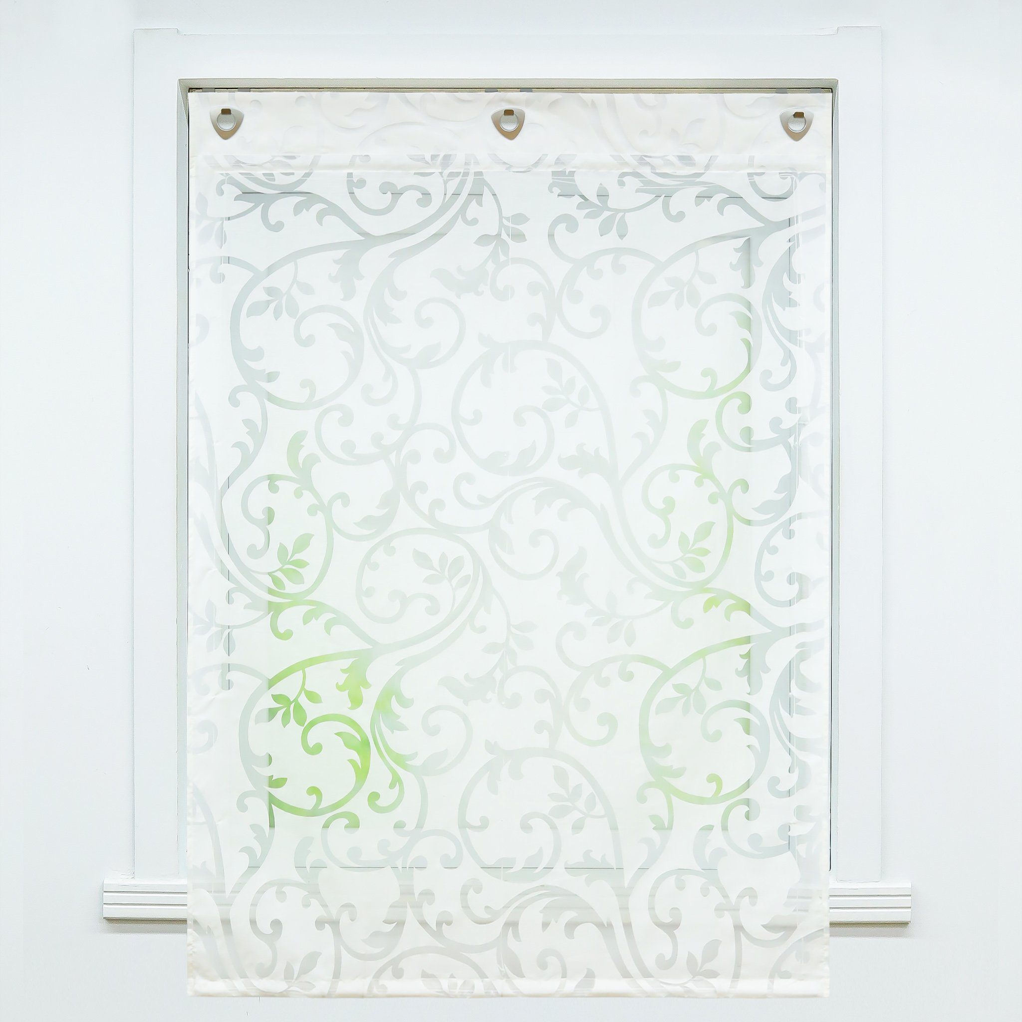 Delien Raffrollo Jessica, mit Hakenaufhängung, Voile Ösenrollo Ausbrenner günstig online kaufen