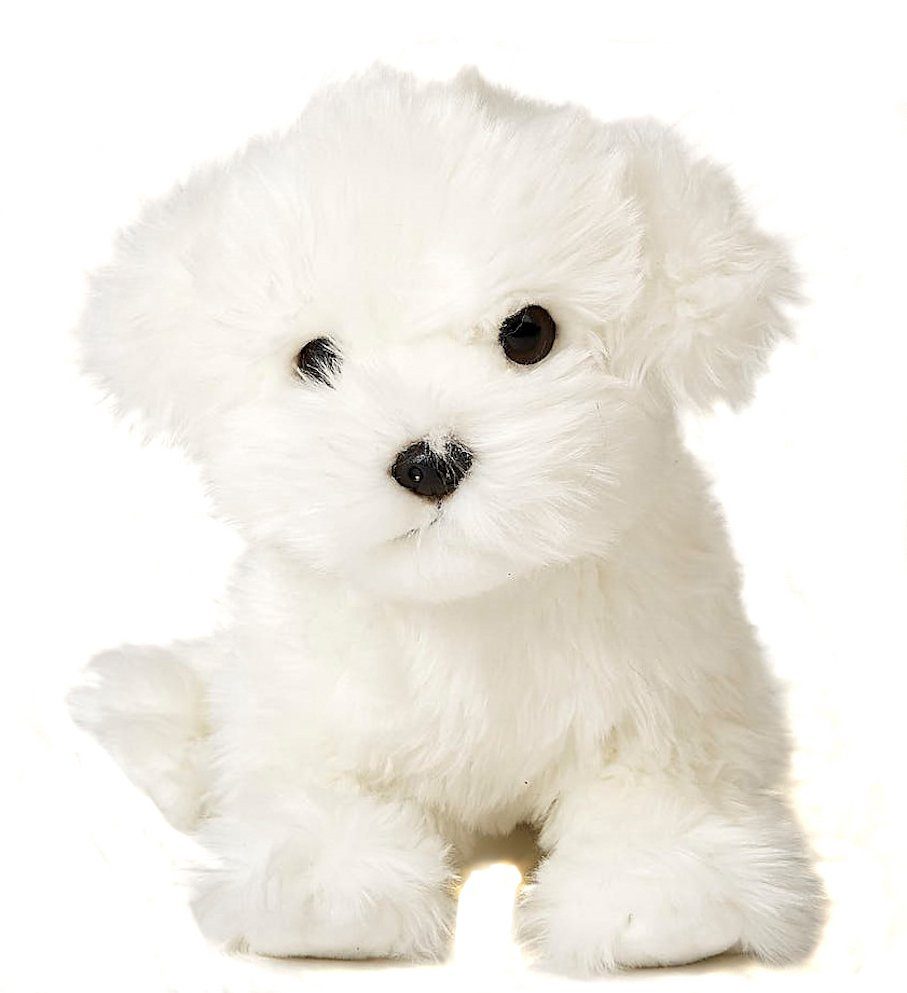 Uni-Toys Kuscheltier Malteser (ohne Leine) - 26 cm (Länge) - Plüsch-Hund - Plüschtier, zu 100 % recyceltes Füllmaterial