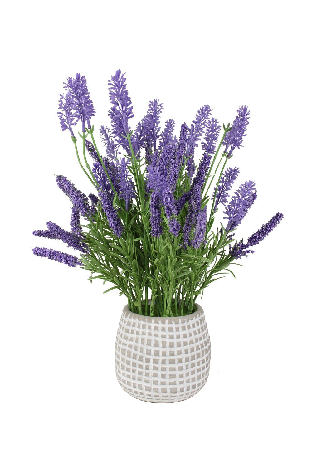 Kunstpflanze Lavendel im Tontopf Deko Pflanze Topfpflanze Lavendel