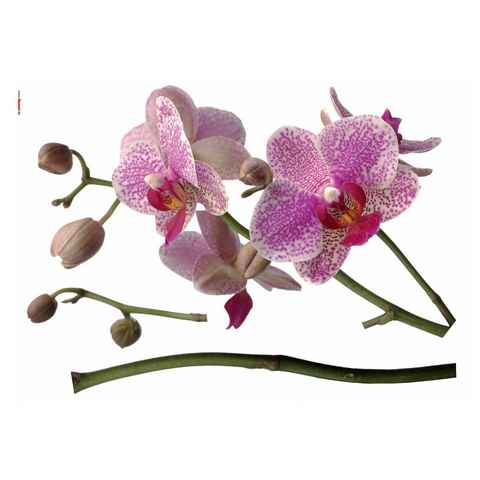Komar Wandtattoo Orchidee, 100x70 cm (Breite x Höhe), selbstklebendes Wandtattoo