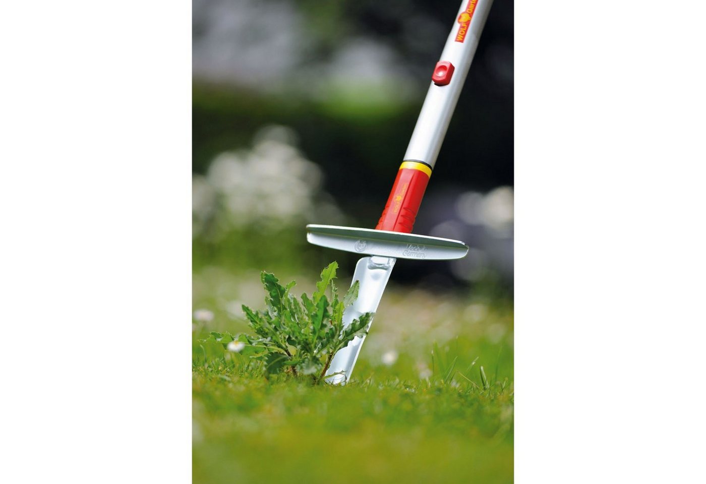 Thumbnail - WOLF-Garten Schaufel WOLF-Garten Unkrautstecher KS-M, multi-star