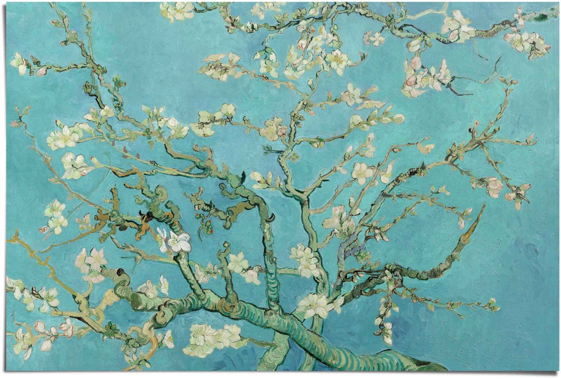 Blumen Mandelblüte (1 Vincent Reinders! Poster Gogh, Poster St) van