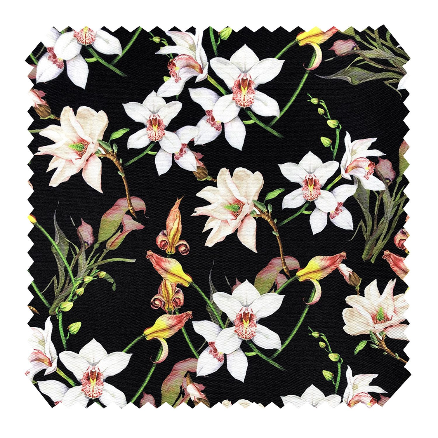 novely® Stoff OXFORD 210D D181 Weiße Orchideen Printstoff Outdoor, Wasserabweisend, Outdoor, Meterware, 1lfm