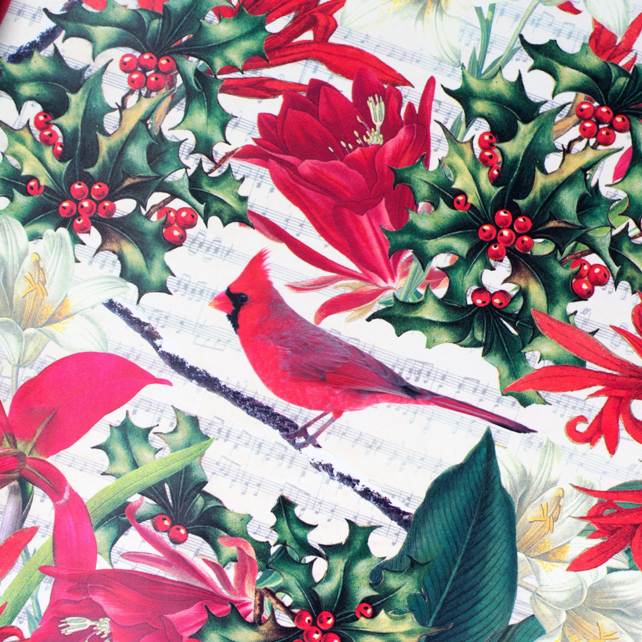 Star Geschenkpapier, Geschenkpapier Rotkardinal & Stechpalme 70cm x 2m Rolle Creme / Rot