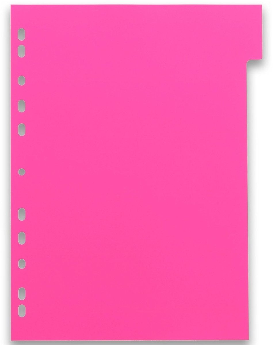 OXFORD Aktenordner Register myColour A4 PP 300 my 12 Blatt sortierte Packung Packung mit