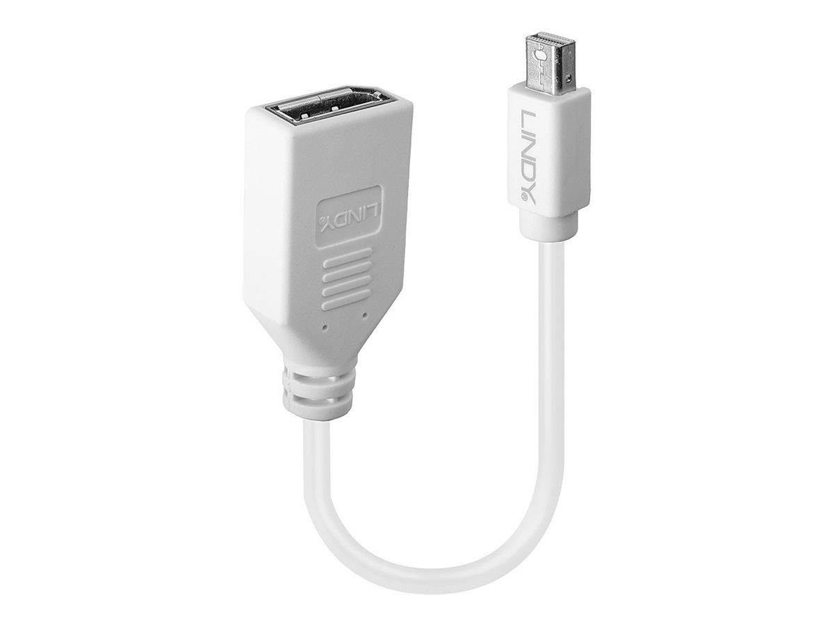 Lindy Adapter