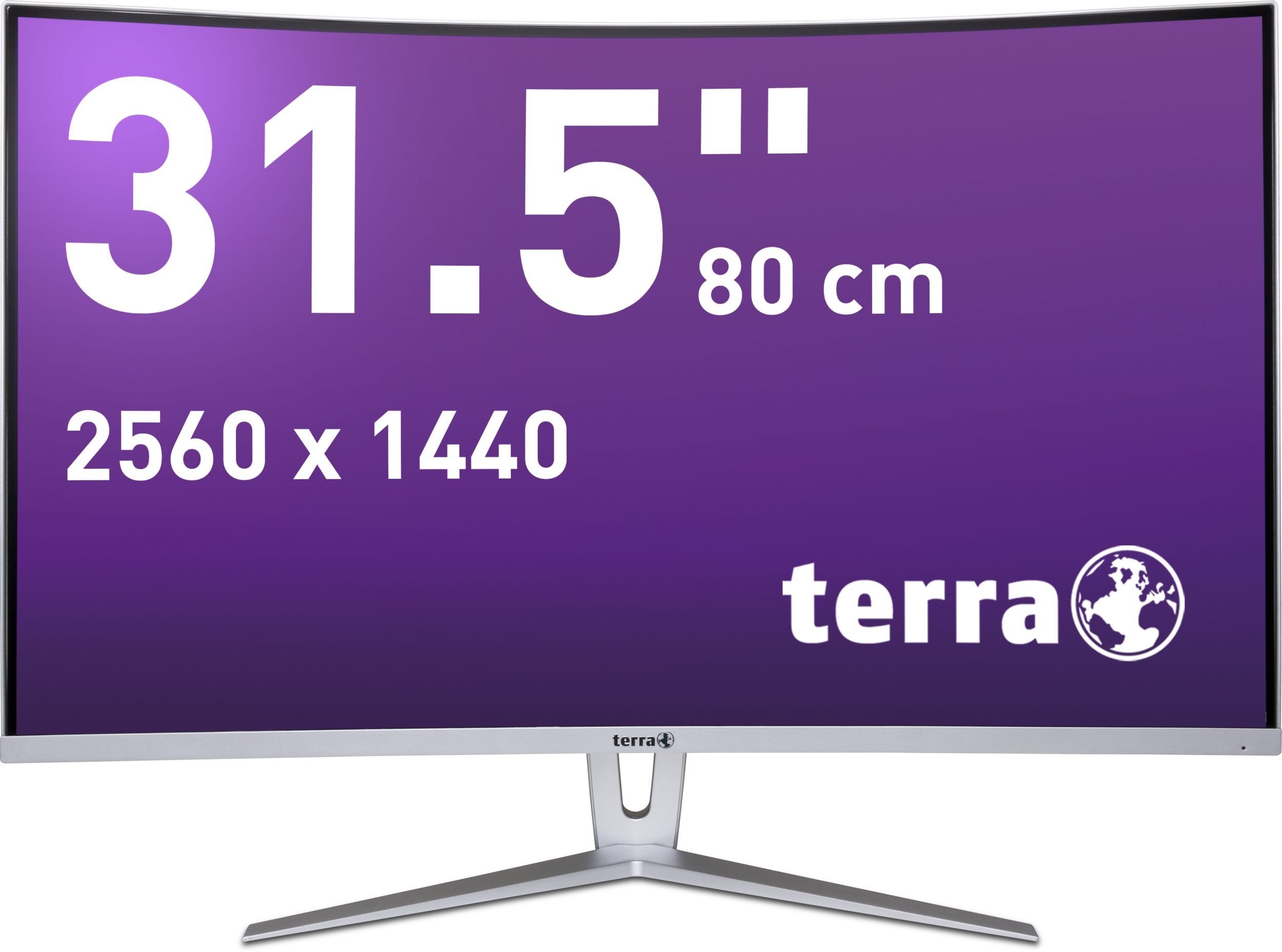 TERRA Monitor LCD/LED 3280W V2 silver/white CURVED 2xHDMI/DP LED-Monitor
