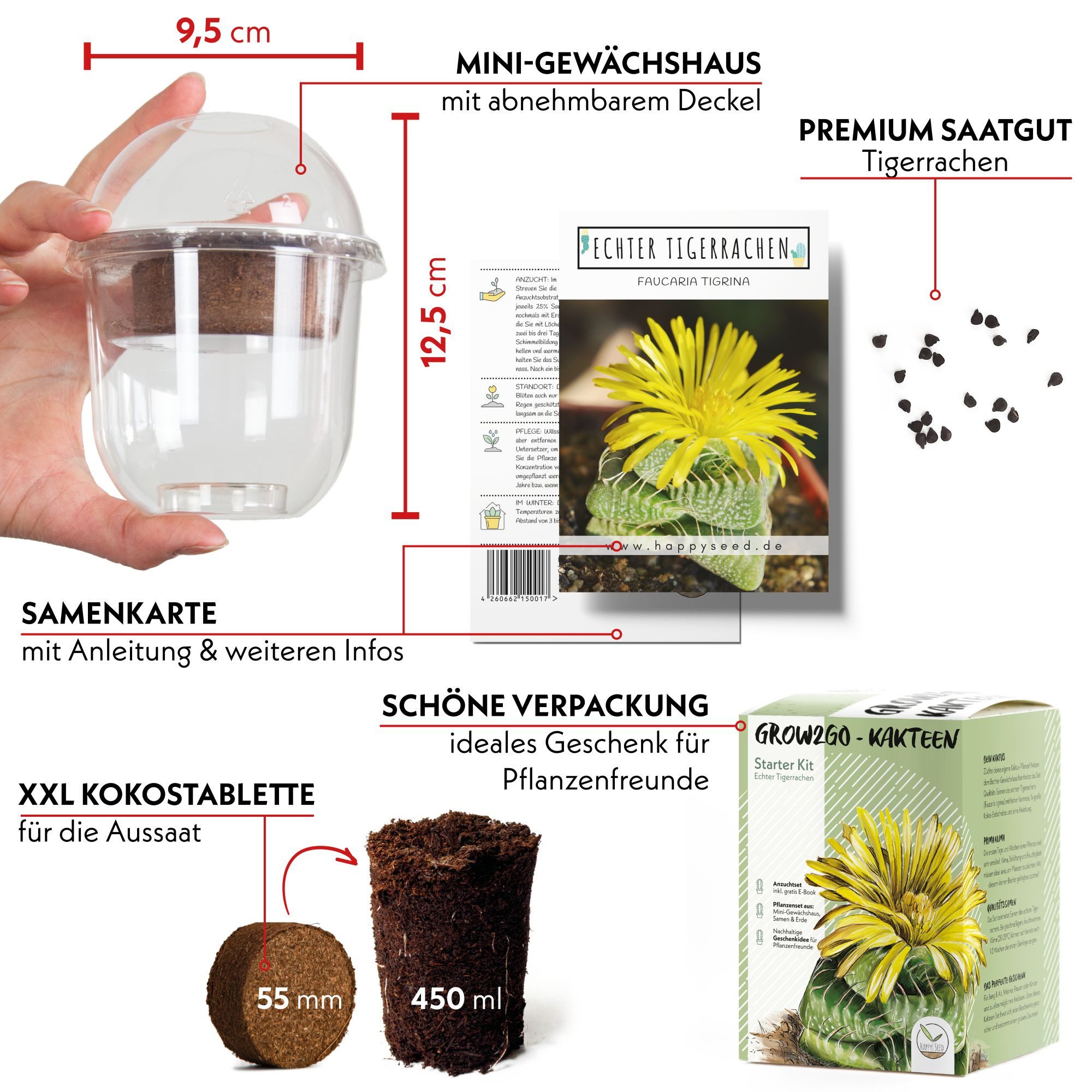 HappySeed Blumensamen Kakteen Starter Kit - Gewächshaus, Kaktus Samen (Echt. Tigerrachen), Kakteen