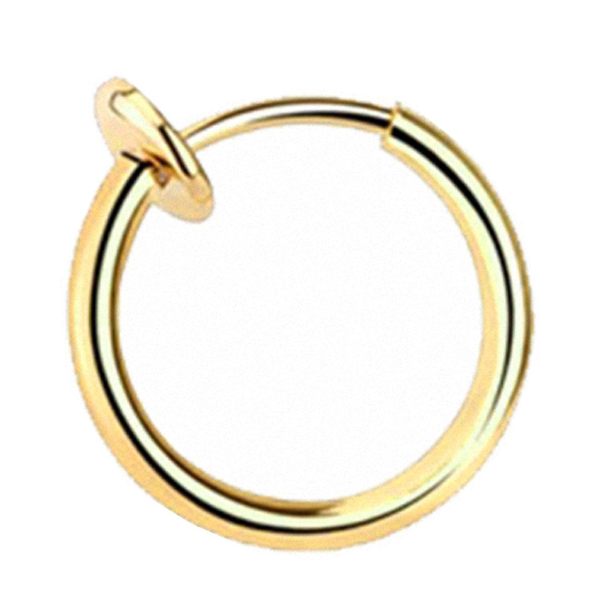 Nasenpiercing Piercing Septum Nase Lippe Ohr Helix Tragus