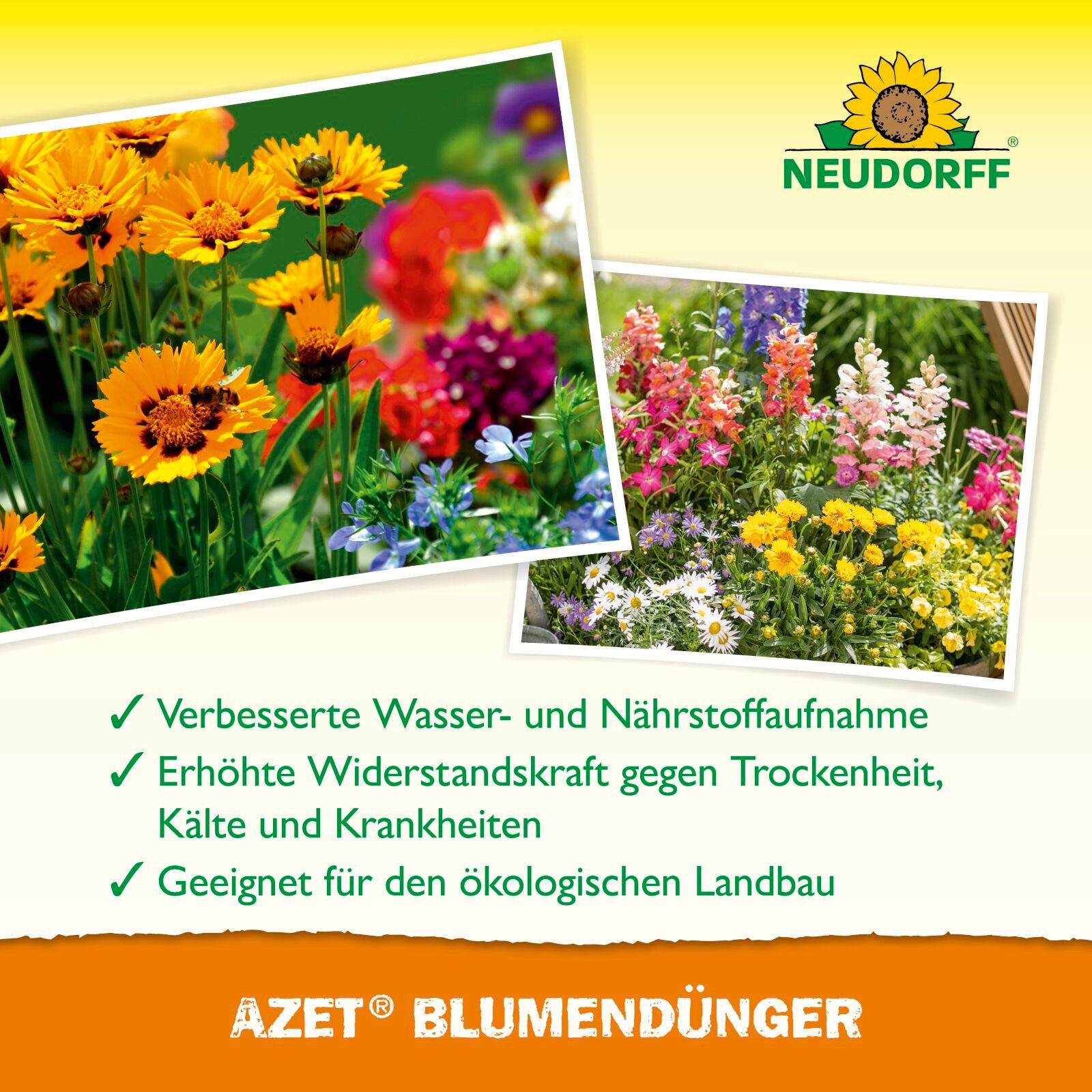 Neudorff Blumendünger Azet BlumenDünger - 250 ml